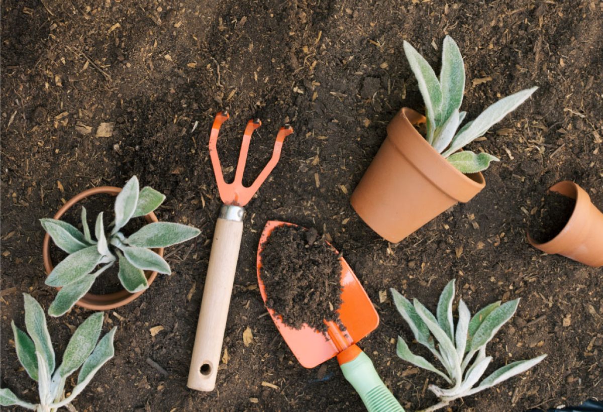 10 ferramentas para seu jardim ficar sempre florido e bem cuidado